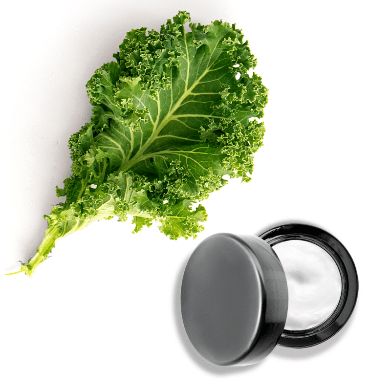 Kale Superfood <br> Hydratant nourrissant de jour Soin de la Peau Botanical Vitamins 3
