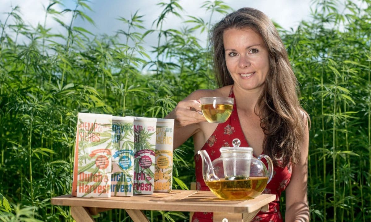 Organic Hemp <br>& Turmeric Tea Tea Botanical Vitamins 10