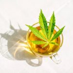 Bio Hanf <br>& Kräutertee Tee Botanical Vitamins 5