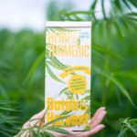 Organic Hemp <br>& Turmeric Tea Tea Botanical Vitamins 4