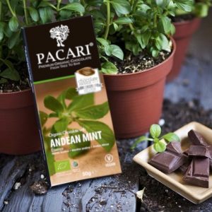 Andean Mint <br>60% Organic Chocolate Chocolade Botanical Vitamins